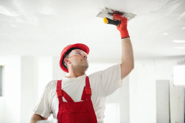 Best Black Mold Removal  in Merryville, LA